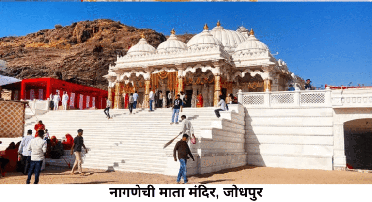 nagnechi mata mandir, jodhpur